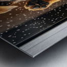 Confused German Shepherd Puppy Tilts Head At Glass Door Impression metal