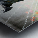 Wet German Shepherd Puppy Rests By Sprinkler Happily Impression metal