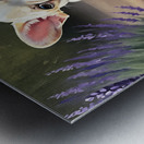 Happy French Bulldog Puppy Understands His Reflection Impression metal