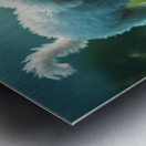 Poodle Puppy Discovers Her Reflection In A Puddle Impression metal