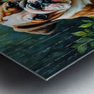 Bulldog Puppy Discovers Garden Snail On Rainy Day Metal print