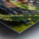 Bulldog Puppy Resting After Big Adventure Impression metal