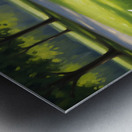 Peacock Displays Full Feather Fan For Amazed Puppy Metal print