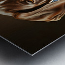 German Shorthaired Pointer Puppy Discovers Shopping Bag Impression metal