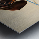 Dachshund Puppy Content On Cozy Dog Bed Metal print