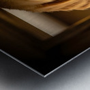 Puppy Waits For Visitors To Arrive Metal print