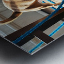 Chihuahua Puppy Discovers Yarn Ball Metal print