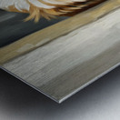 Shih Tzu Puppys Perfect Hiding Spot Behind Curtain Impression metal