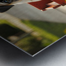 Sleepy Pug Puppy Rests After Wagon Adventure Impression metal