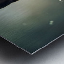 Content Pug Puppy Settles Down To Watch Rain Metal print