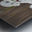 Happy Bichon Frise Puppy Plays With Fence Friend Metal print