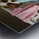 Playful Shih Tzu Puppy Escapes With Stolen Sock Metal print