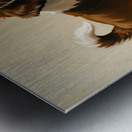 Shih Tzu Puppy Spots Tempting Sock In Laundry Basket Impression metal