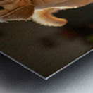 Golden Retriever Puppy Reaches For Plant Pot Impression metal