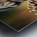 Pug Puppy Discovers Interesting Scents On Floor Metal print