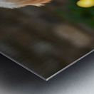 Golden Retriever Puppy Ready To Give Pawprint Autograph Metal print