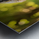 Pug Puppys First Wagon Ride Adventure Metal print