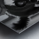 Excited Boston Terrier Puppy Emerges From Shopping Bag Discovery Impression metal