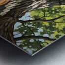 Content Corgi Puppy Dreams Under Tree Shade Impression metal