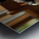 Playful Border Collie Puppy Interacts With Book Pages Impression metal