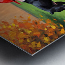 Heroic Boston Terrier Puppy Successfully Completes First Mission Metal print