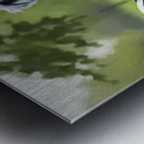 Happy Australian Shepherd Puppy Enjoys Bicycle Ride Metal print