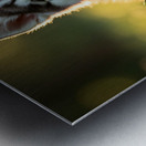 Butterfly Lands Gently On Husky Puppys Nose Metal print