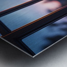 Boston Terrier Puppy Gets Special Collar Metal print