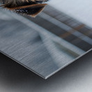 Yorkshire Terrier Puppy Watches Winter Snow Fall Metal print