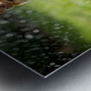 Corgi Puppy Discovers The Magical Water Fountain Metal print