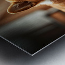 Corgi Puppy Takes Shelter From Heavy Rain Impression metal