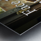 Face Unknown with Puppy Courage Metal print