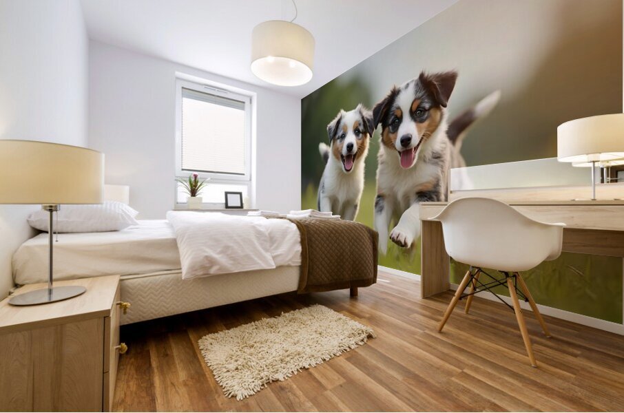 Blue Merle Australian Shepherd Puppies Playing Together In Tall Grass Impression murale