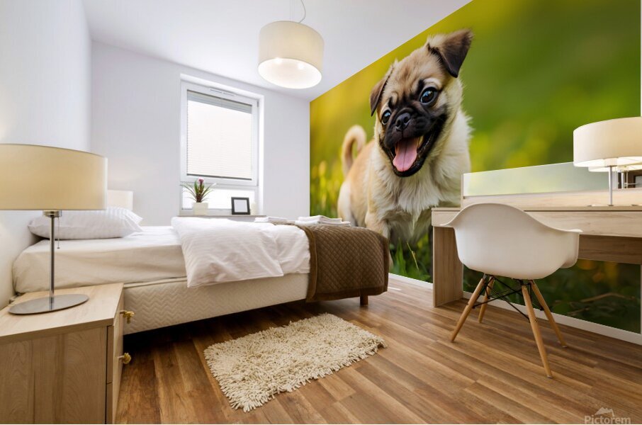 Pug Puppy Successfully Completes Stay Command Mural print