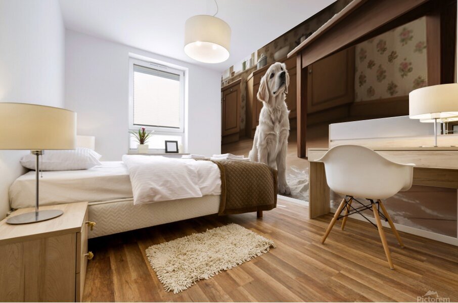 Hopeful Puppy After Kitchen Adventure Ends Mural print