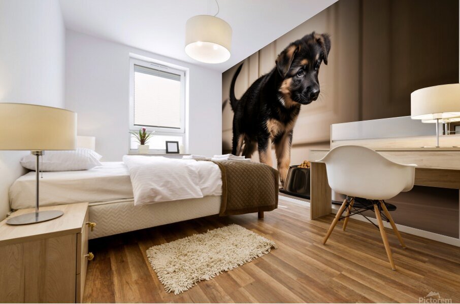 German Shepherd Puppy Ready For Breakfast Time Mural print