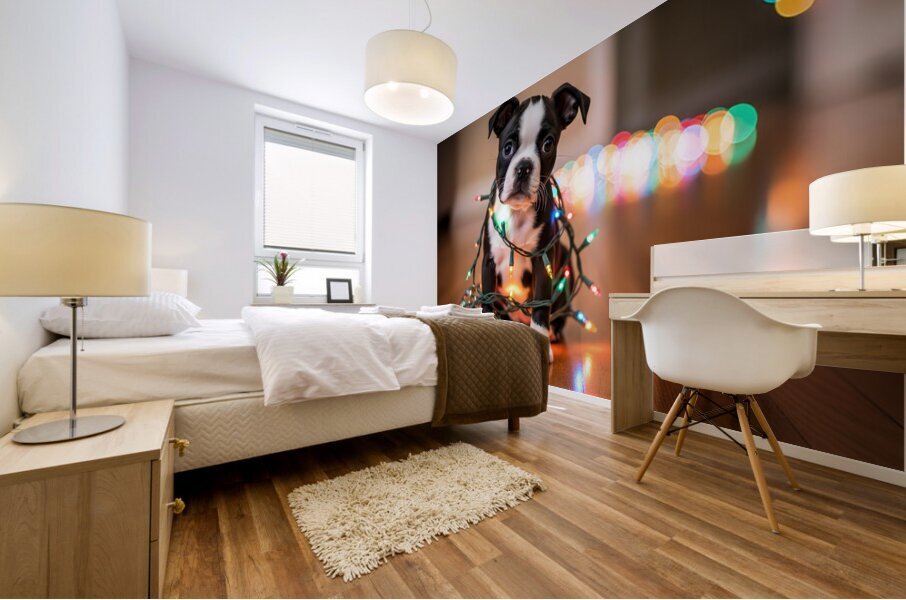 Boston Terrier Puppy Discovers Sparkling Christmas Lights Impression murale