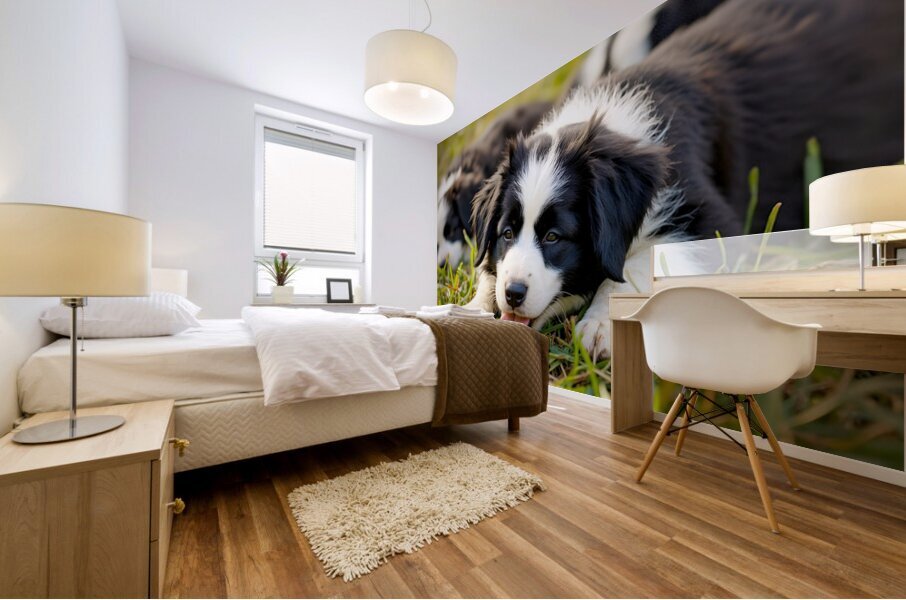 Happy Border Collie Puppy Rests After Playtime Mural print