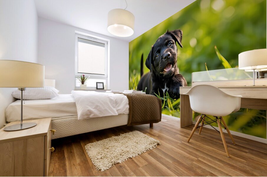 Little Cane Corso Puppy Ready To Learn New Trick Mural print