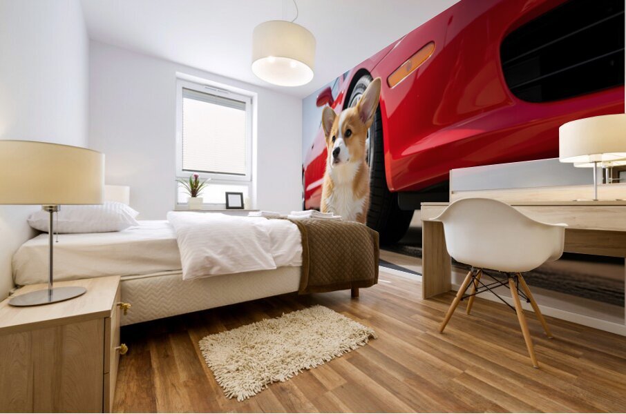 Clean Corgi Puppy After Successful Car Wash Impression murale