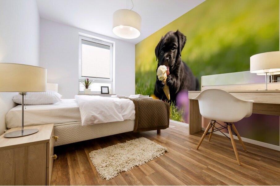 Cane Corso Puppy Discovers Sweet Ice Cream Treat Impression murale