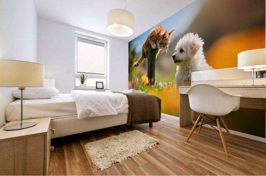 Bichon Frise Puppy Meets Garden Cat Mural print