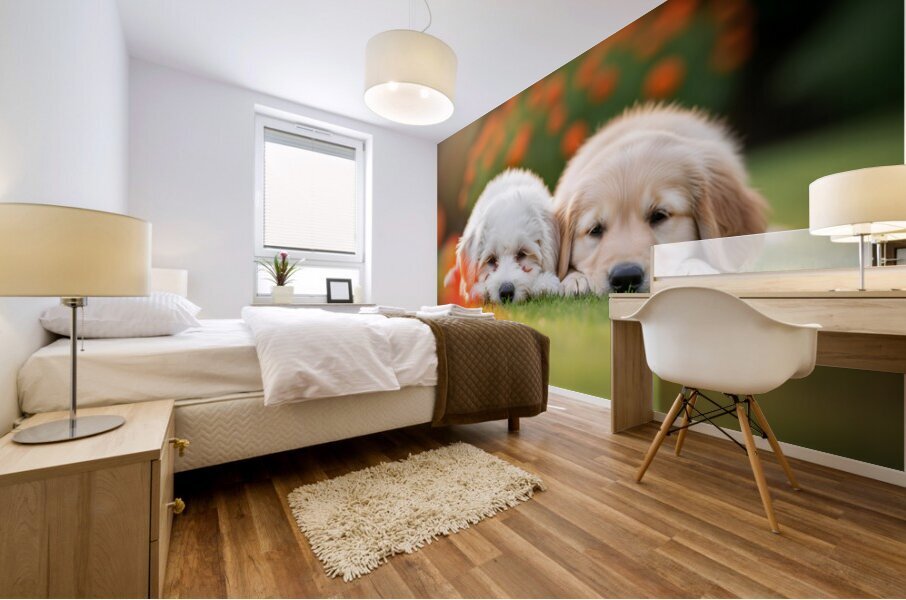 Tired Bichon Frise Puppies Resting After Playing In The Garden Impression murale