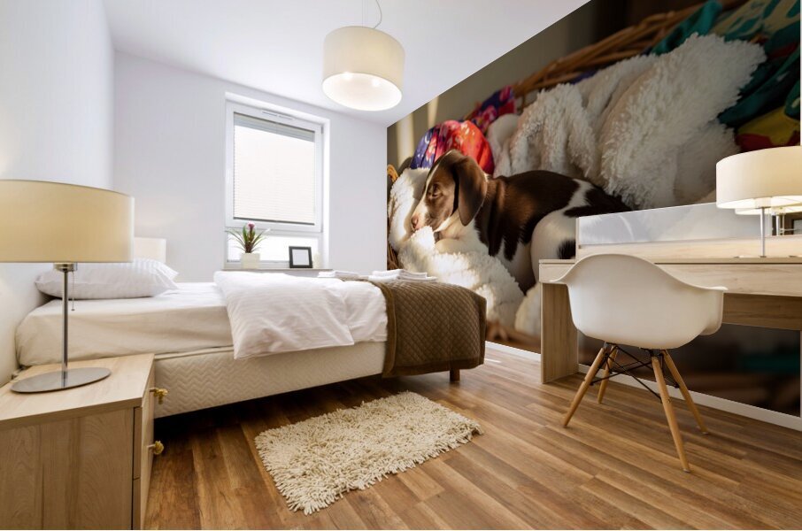 German Shorthaired Pointer Puppy Discovers Cozy Basket Impression murale