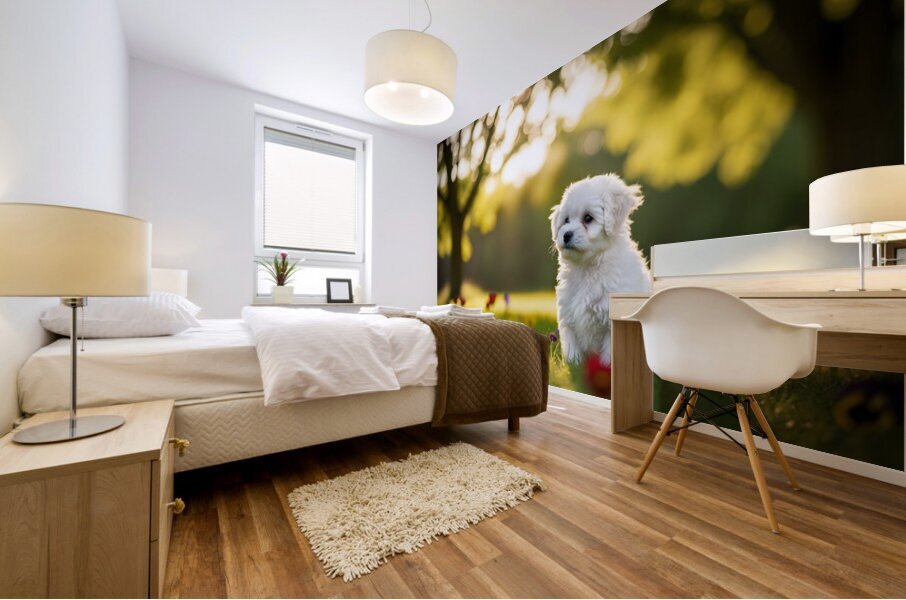 Bichon Frise Puppy Exploring The Garden Alone Impression murale