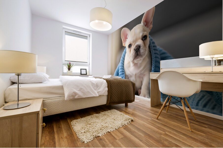French Bulldog Puppy Snuggles With Favorite Blue Blanket Mural print