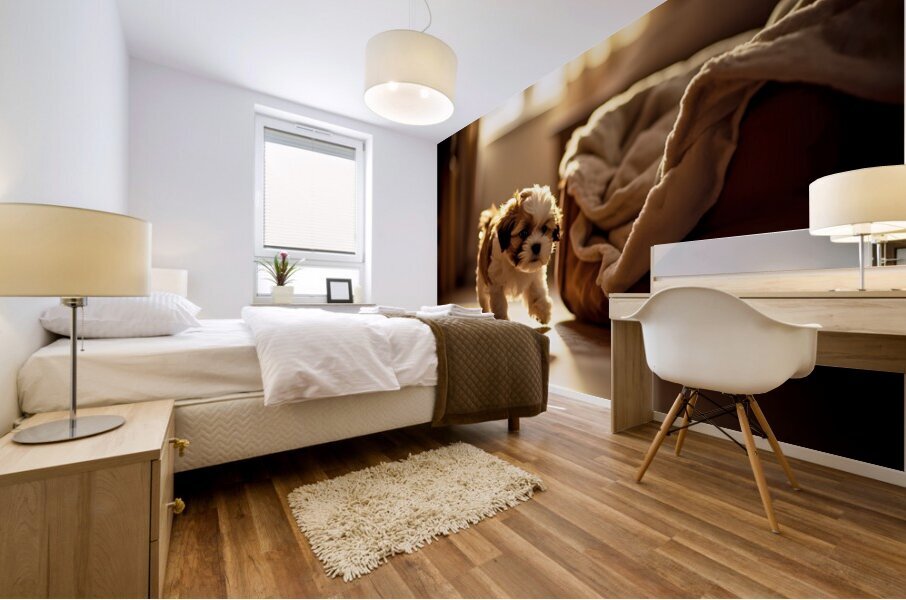 Sleepy Shih Tzu Puppy Ready For Bedtime Mural print