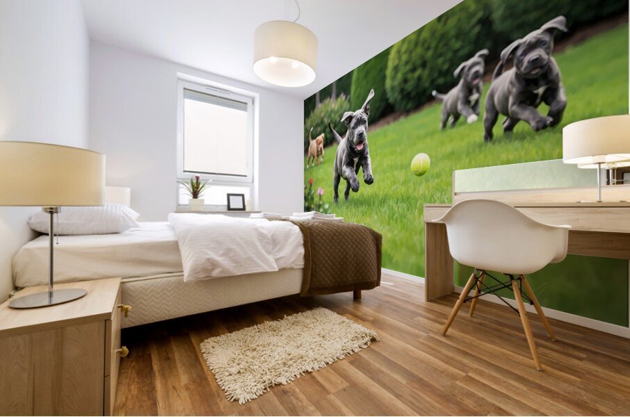 Cane Corso Puppy Spots The Perfect Tennis Ball Mural print