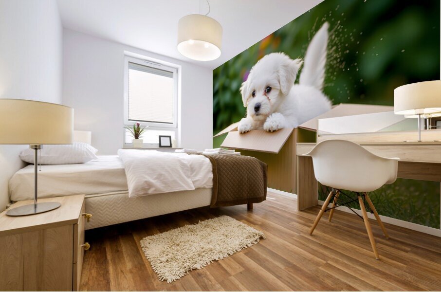 Happy Bichon Frise Puppy With Discovered Toy Treasures Mural print