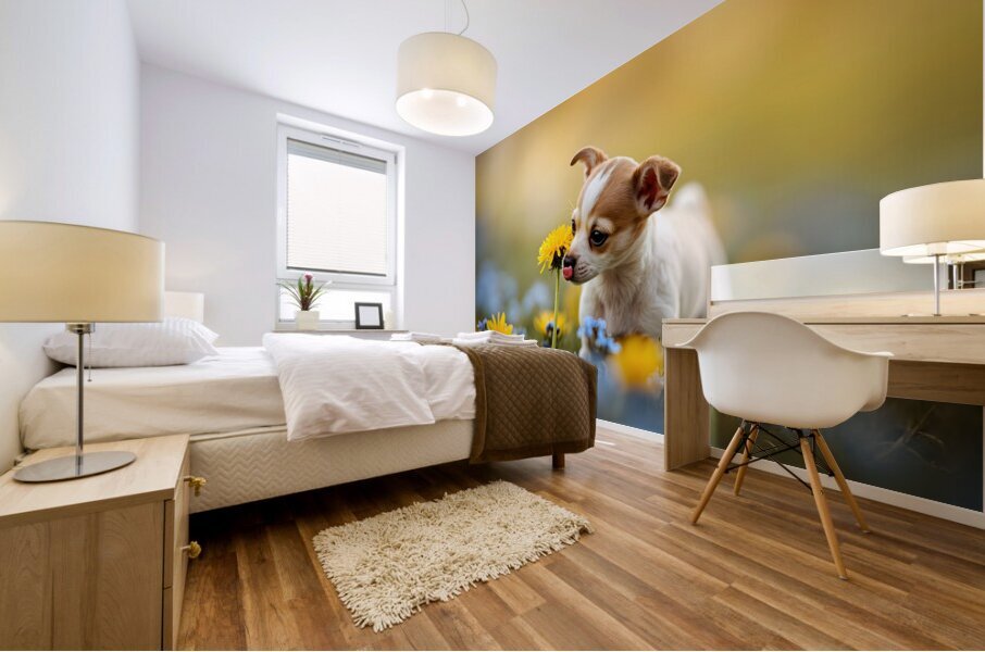 Happy Chihuahua Puppy After Sniffing Dandelion Impression murale